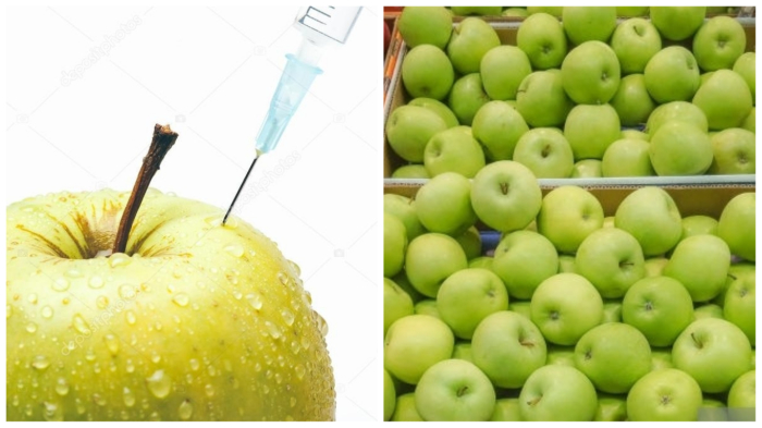 Идеальные на вид твердейшие яблоки - Какие продукты местного производства лучше не брать до сезона урожаев
