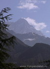 Гималайская лиственница и горы