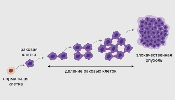 ��������� ������� ����