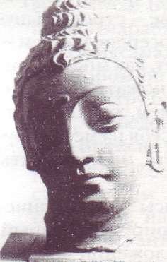 Голова Будды. Известняк. Гандхара. III в.
