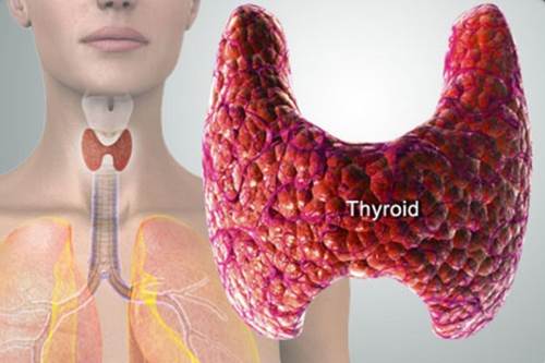 Продукты, которые истощают щитовидную железу