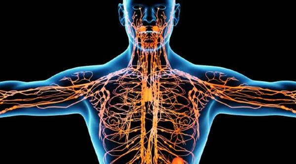 ����� ���� �����