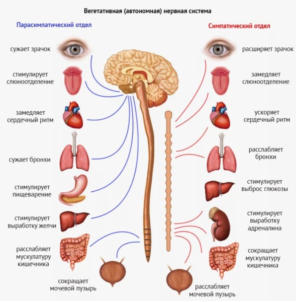 ���������� �����
