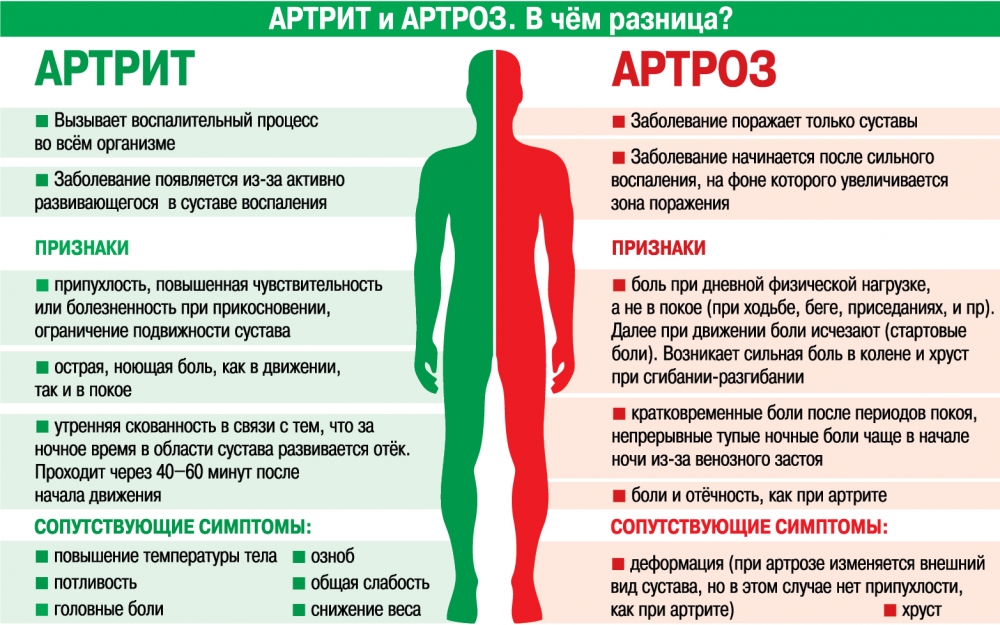 Факторы риска при подагре и артрозе Факторы риска при подагре и артрозе