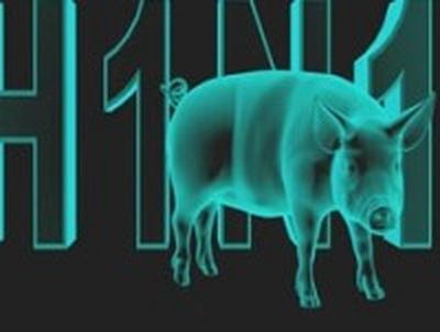 Вирус «свиного» гриппа
