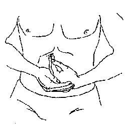 Некоторые приёмы обдавливания внутренних органов, применяемые в методе висцерального массажа (висцеральной хиропрактики).